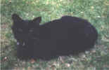 lucie.jpg (25453 Byte)