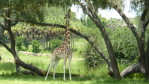 Bild04