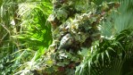 Bild05