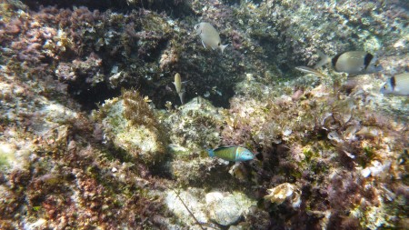 Bild06