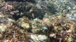 Bild06