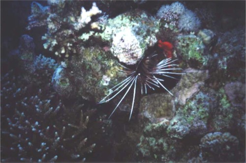 Bild06