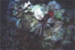 Bild06