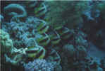 Bild08