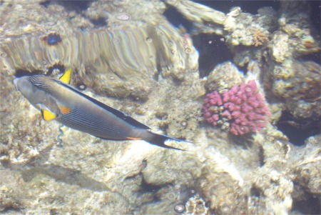 Bild03