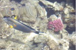 Bild03