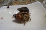Bild04