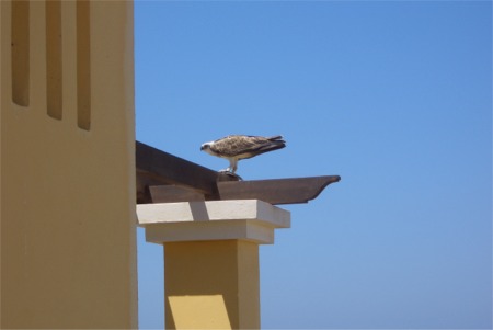 Bild05