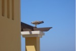 Bild05