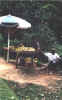 Bild05