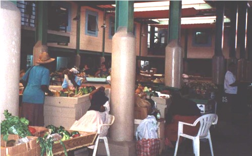 Bild11