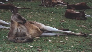 Bild04