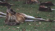 Bild04