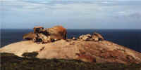 Bild11