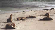 Bild12