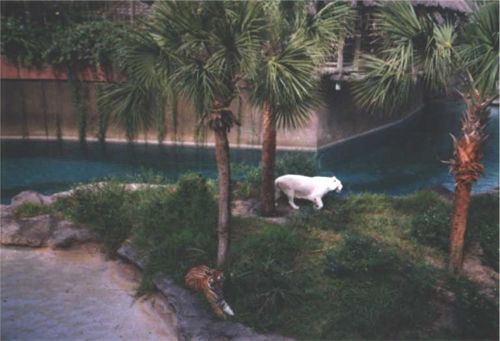 Bild03