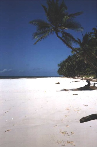Bild01