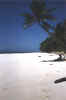 Bild01