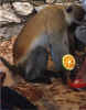 Bild03