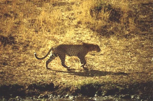 Bild05