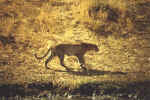 Bild05