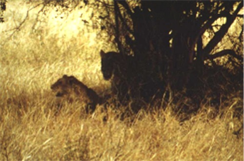 Bild06