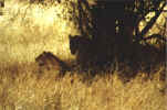Bild06
