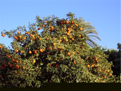 Bild05