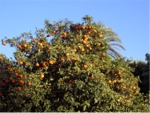 Bild05
