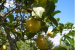 Bild04