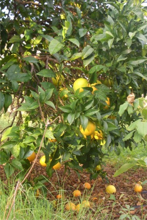 Bild02