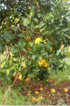 Bild02